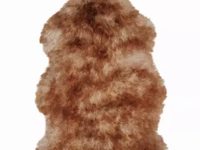 Luxe sunset sheepskin rug 3D model