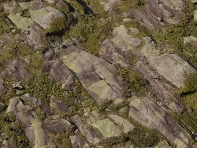 Mossy Granite Cliff Plates  Texture