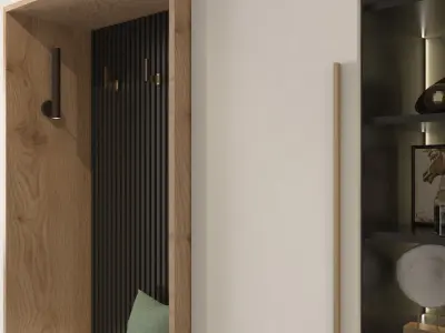 Entrance closet 3D model