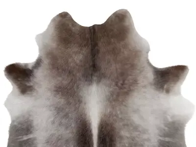 Dark Grey Cowhide Rug by Hudson Hides 3D model