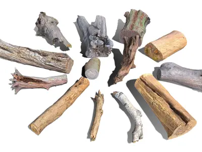 Tree Logs Low-poly 3D model