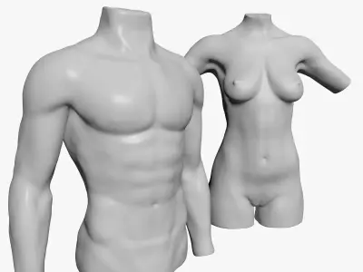 Female and Male Torso Manenequins 3D model