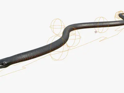  Mexican Black Kingsnake Crawling Animated Rigged For Blender 