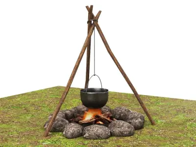 Bonfire Campfire 3D model