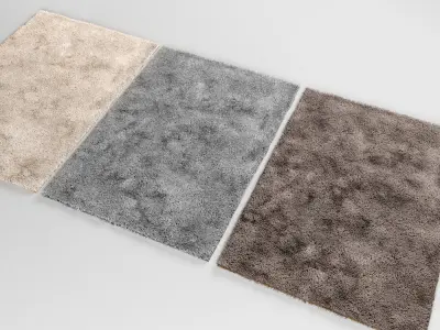 Carpet shaggy rug 3D model