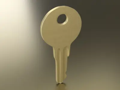 Standard Key Free 3D model