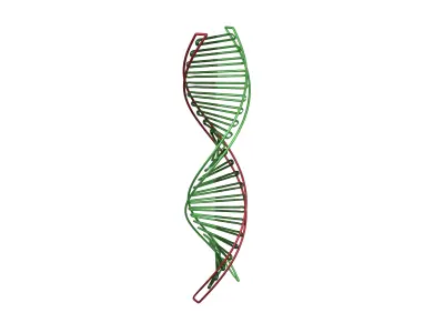 DNA Molecule v3 007 Low-poly 3D model