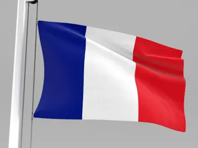 Flag of France 3D model