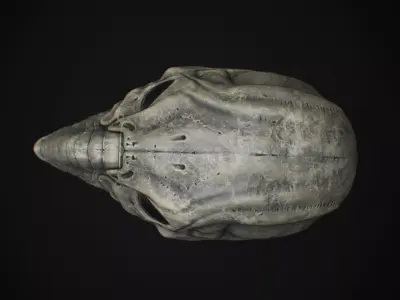 Space Jockey Helmet Low-poly 3D model