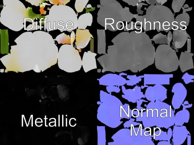 Elegant Orchid Flower D Model Pack Low-poly 3D model