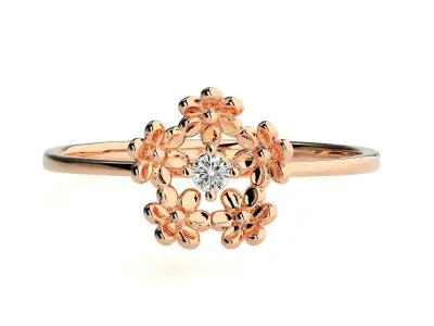 Ring - 121 3D print model purchase