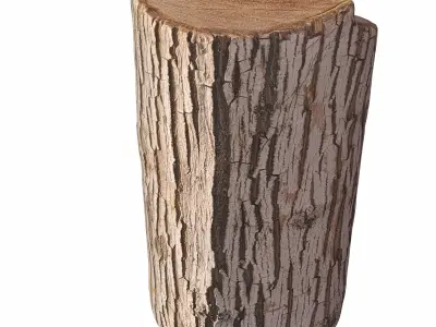 trunk 100 3D model