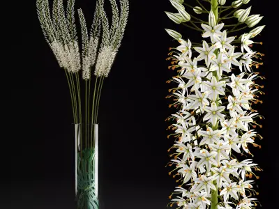 Eremurus tall grasses in vase - tall grasses in vase 3D model