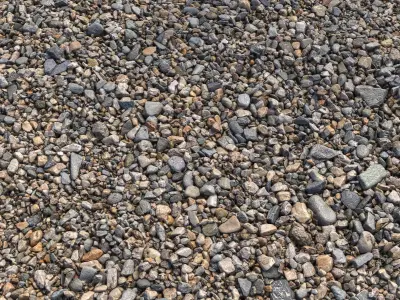 River Pebbles 3D model
