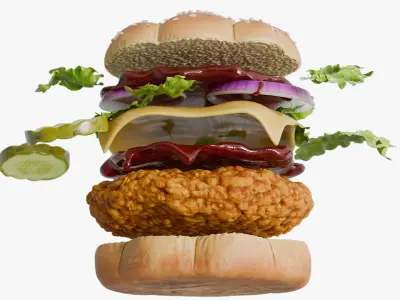  Realistic Chicken Burger Nuggets 