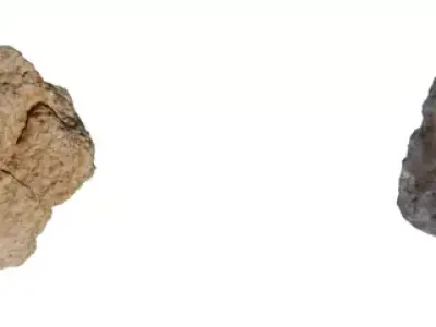 Realistic Small Rock Pack Low-poly 3D model