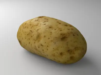 Potato - Photorealistic Scan Low-poly 3D model