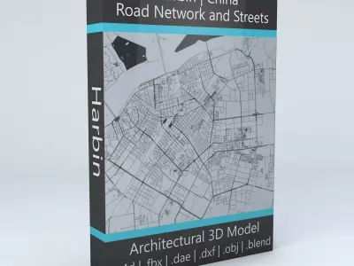 Harbin Road Network and Streets 3D model