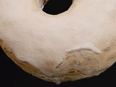 White Chocolate Donut Low-poly 3D model