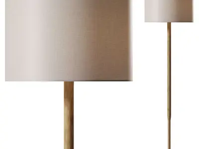 Aiden Floor Lamp 3D model