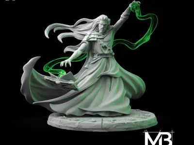 Zindam the Sorcerer 3D print model