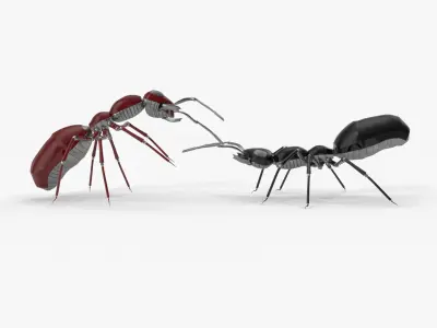 Robot ants 3D model