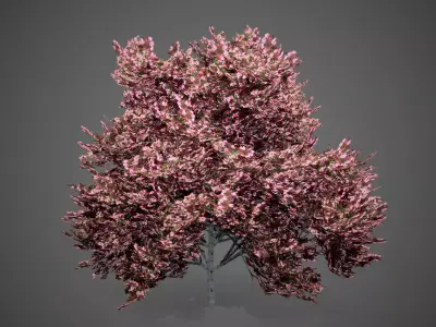 Peach Tree Flowers LODs Low-poly 3D model