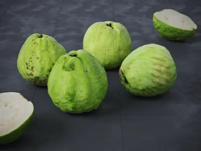 Guavas Green 6 Models