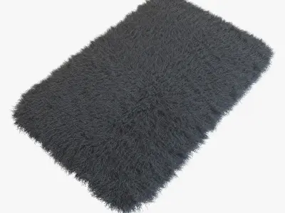 Tibetan sheepskin Dior gray 3D model