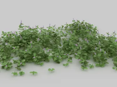  30 Wild Bushes with snow 