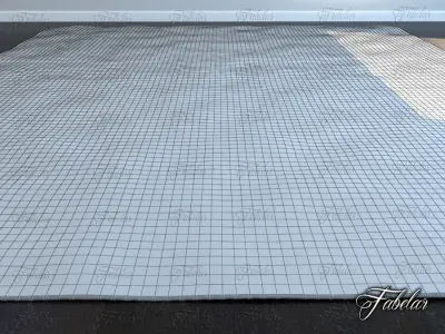 Carpet oriental rug 3D model