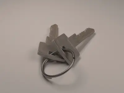 Bunch of Keys 3D model