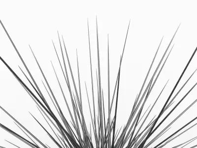  Sea Creatures Collection 