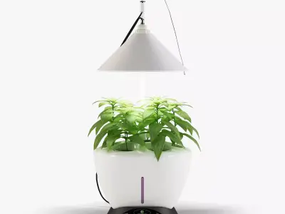Revone Magic Garden phyto lamp Low-poly 3D model