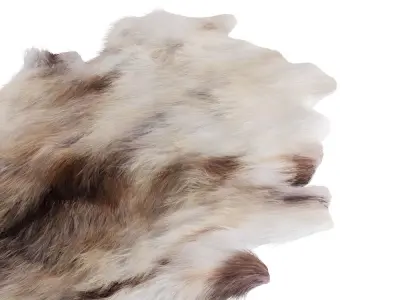 European Rug Cowhide 16 3D model