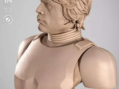 STAR WARS Luke Stromtrooper Portrait Bust 3D print model