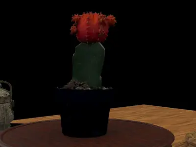 Chinese display stand   3D model