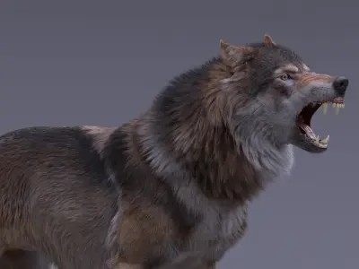  Gray Wolf Rigged 