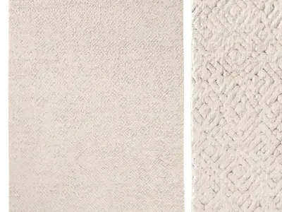  JAHAN WOOL RUG 3D model