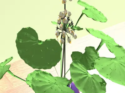 Wood Table 4K 3D model