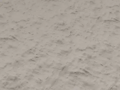 Forest Floor 01 Photoscanned Seamless Texture Texture