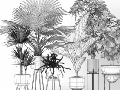 Plants  Free low-poly 3D model