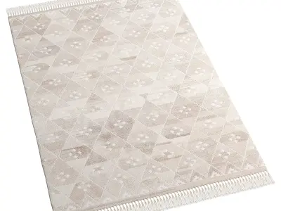 Cora Kilim Woven Rug 3D model