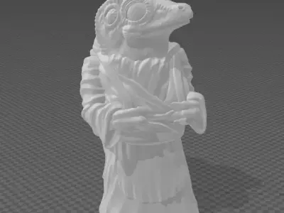 Star Wars Mandalorian Frog Lady 3D print model