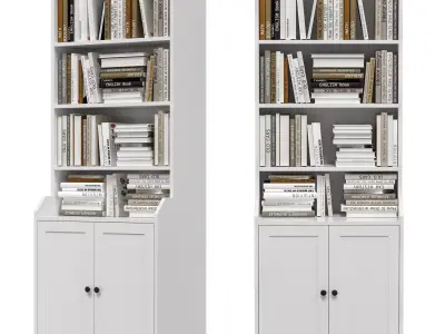 IKEA - HAUGA Tall cabinet with 2 doors and books 3D model