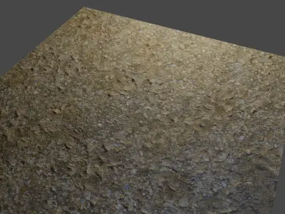 Forest Floor 4K Texture