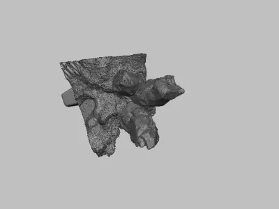 Base 2 skull 3D print model