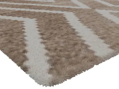 Rug Set 161 3D model