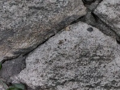 Stone Wall with Leaves 3D model