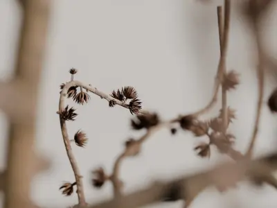 plants bouquet vase 38 3D model